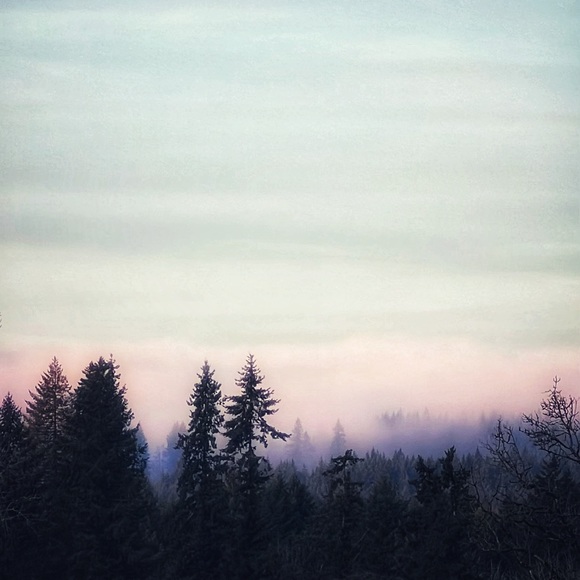 Meet your Posher, Brittney - Picture 5 of 7